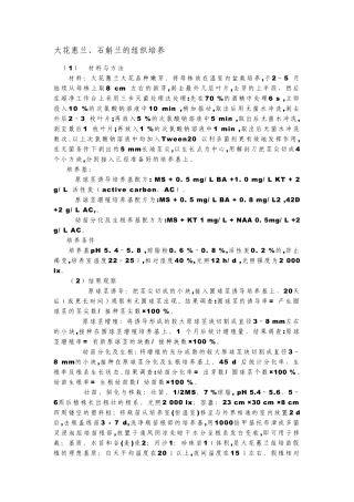 大花惠兰、石斛兰的组织培养