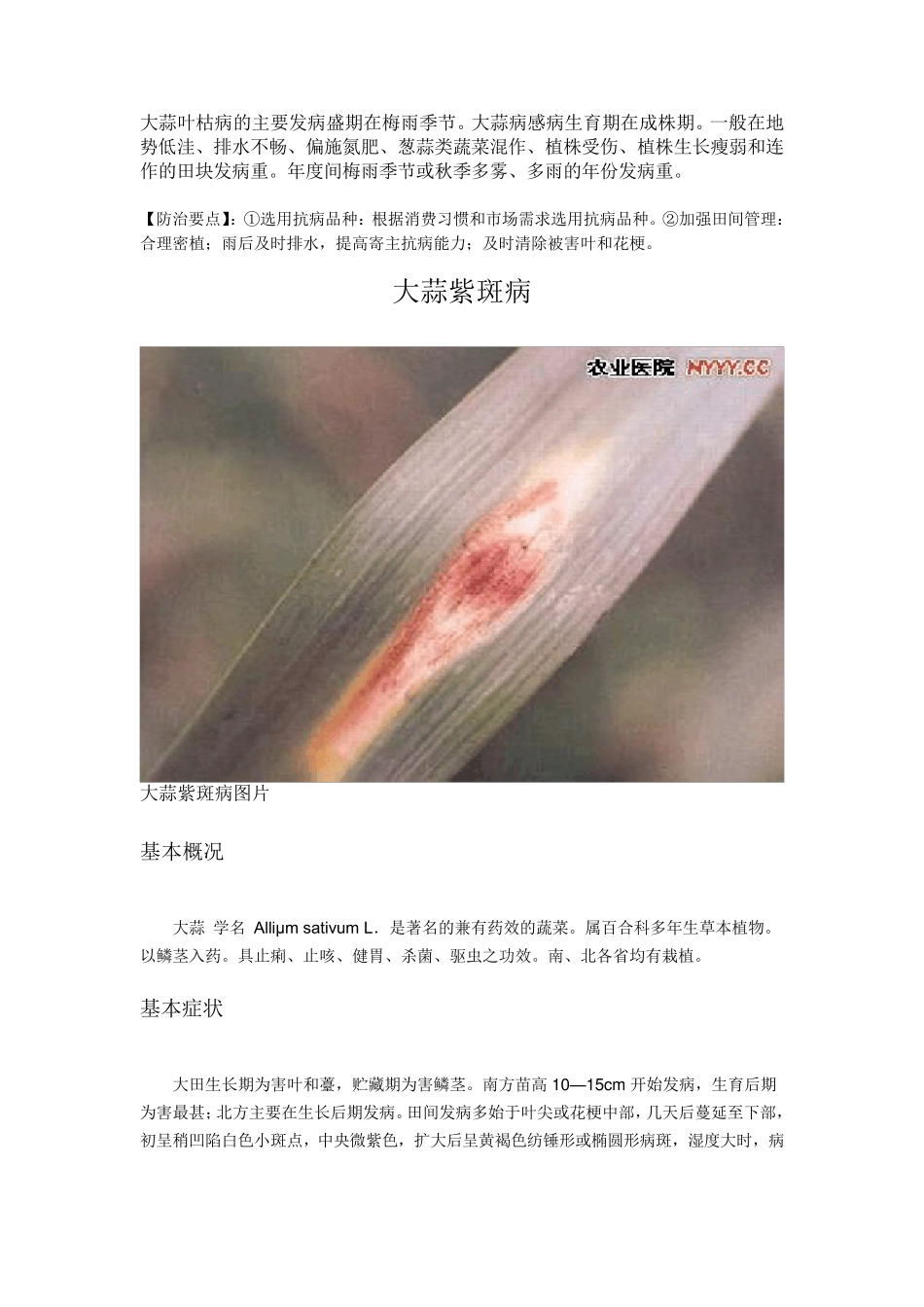 大蒜病虫害图谱及防治方法_第2页