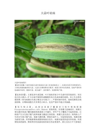 大蒜病虫害图谱及防治方法