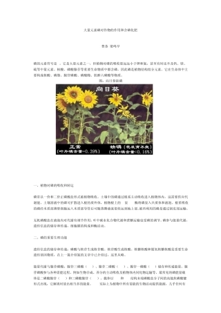 大量元素磷对作物的作用和含磷化肥