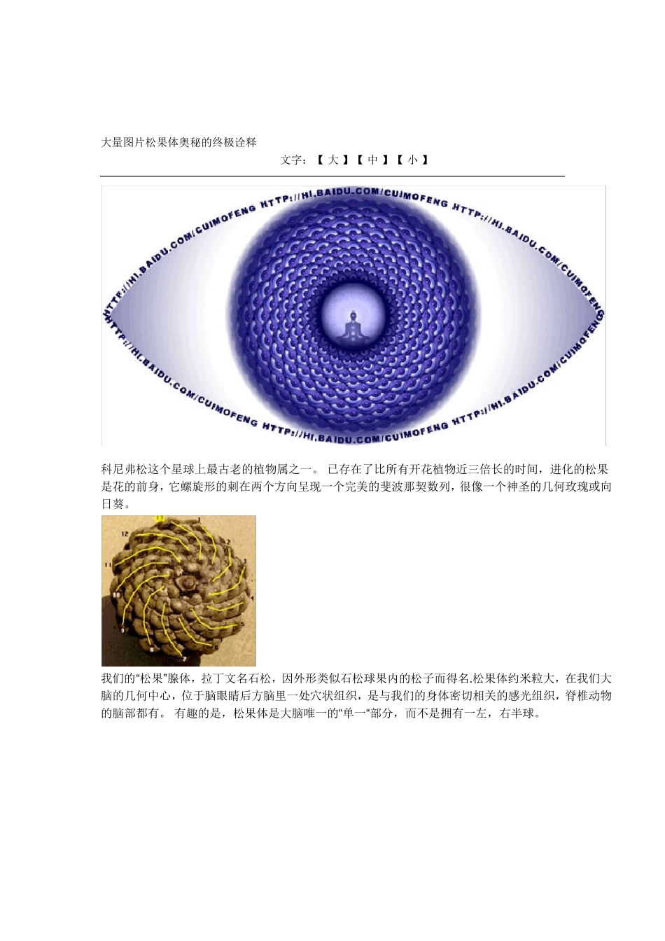 大量图片松果体奥秘的终极诠释_第1页