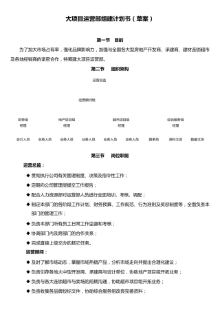 大项目运营部组建计划书