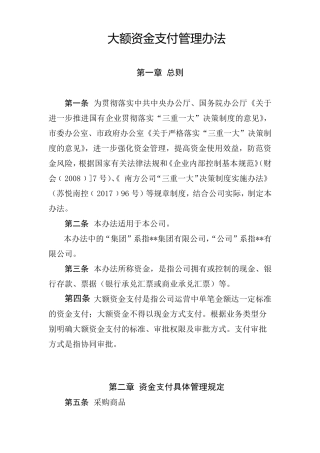 大额资金支付管理办法