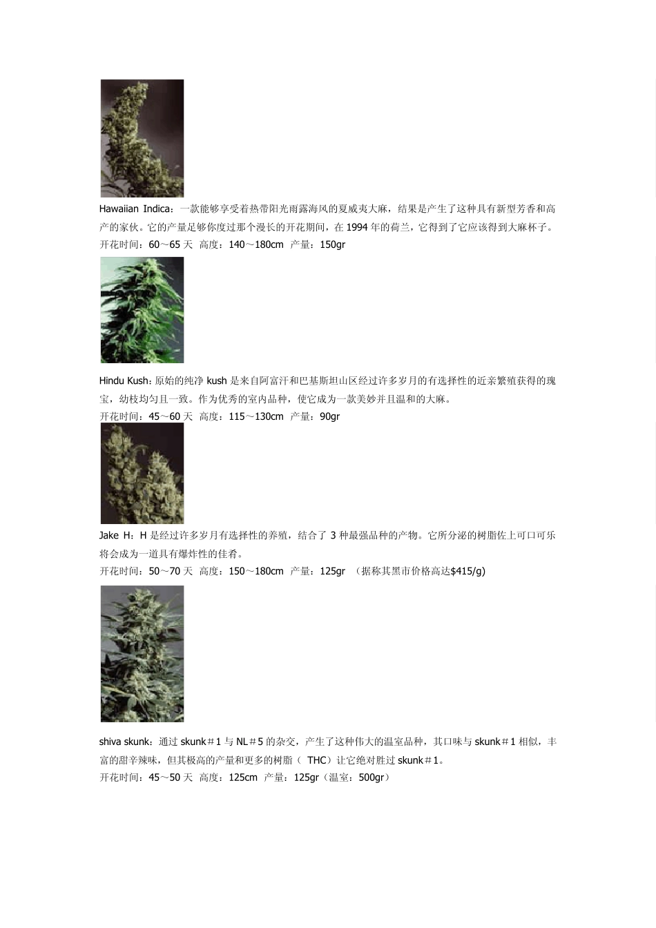 大麻种类,各种VIP!美丽的大麻叶!!绝美!!!!!!_第3页