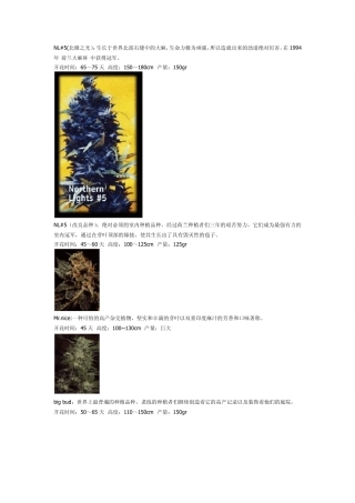 大麻种类,各种VIP!美丽的大麻叶!!绝美!!!!!!