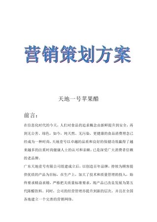 天地一号苹果醋营销策划书