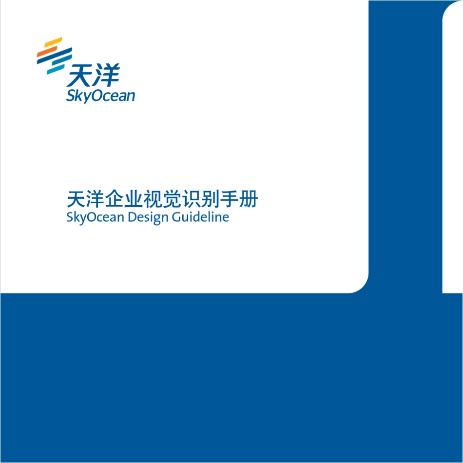 天洋视觉手册_第1页