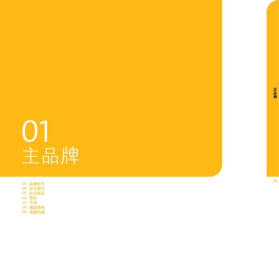 天洋视觉手册_第3页