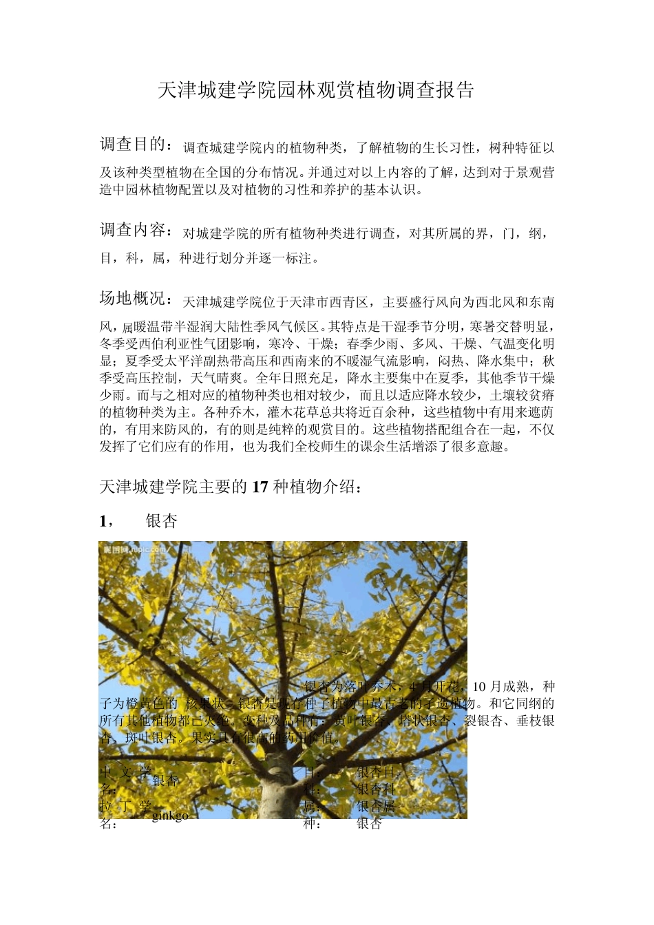 天津城建学院园林观赏植物调查报告_第1页