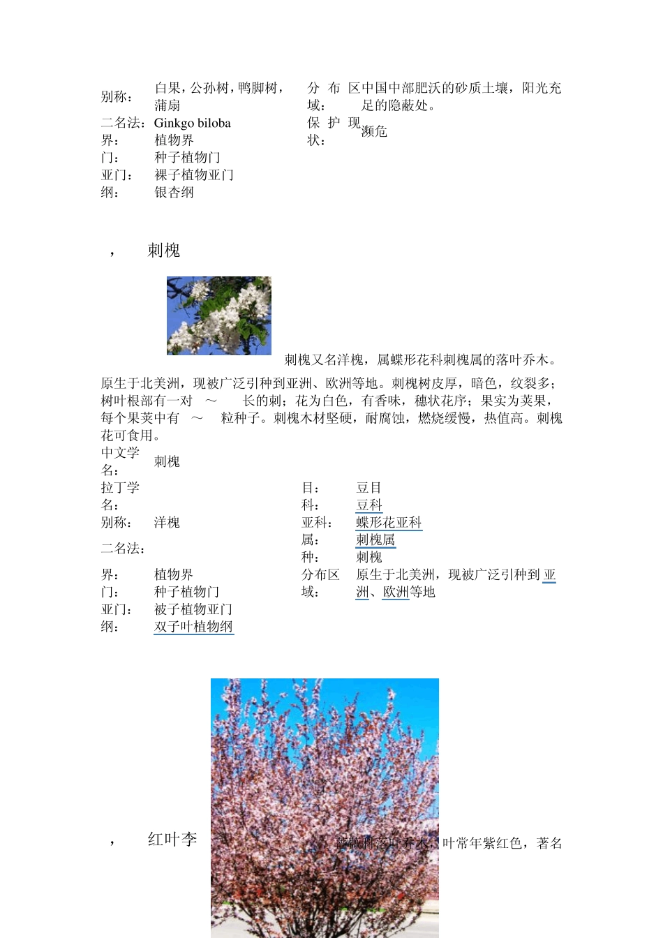 天津城建学院园林观赏植物调查报告_第2页