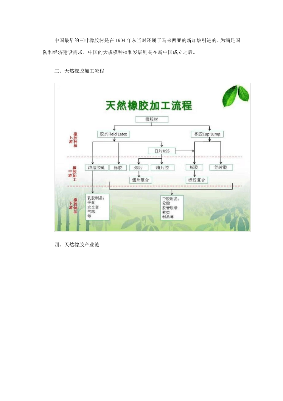 天然橡胶产业链全貌解析_第3页