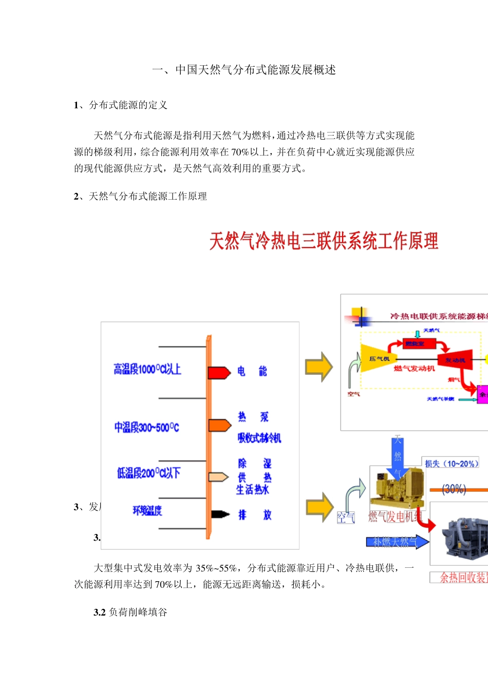 天然气分布式能源项目开发手册_第3页
