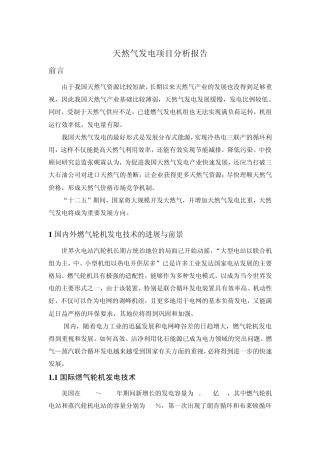 天然气发电项目分析报告
