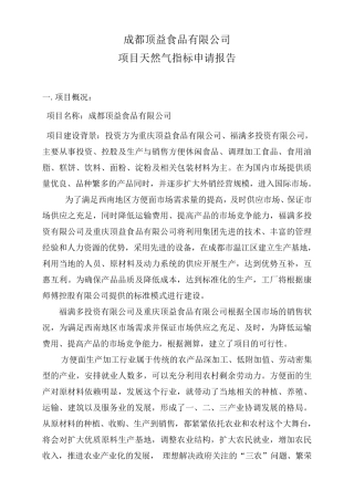 天然气申请报告