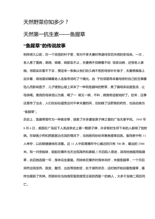 天然第一抗生素——鱼腥草