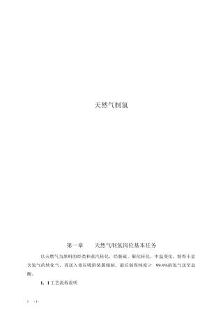 天燃气制氢操作规程