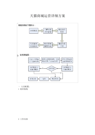 天猫商城运营方案和计划书