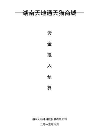 天猫店铺经费预算