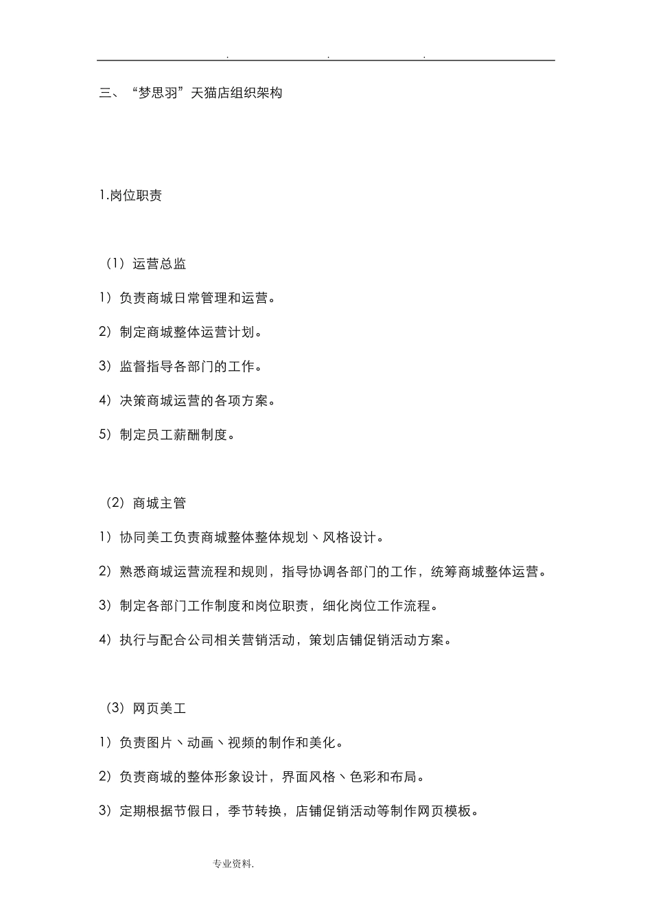 天猫店铺运营计划书_第2页