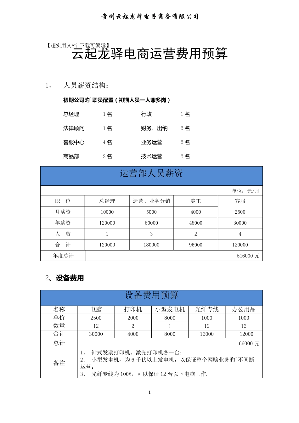 天猫旗舰店电商部门运营推广费用预算_第1页