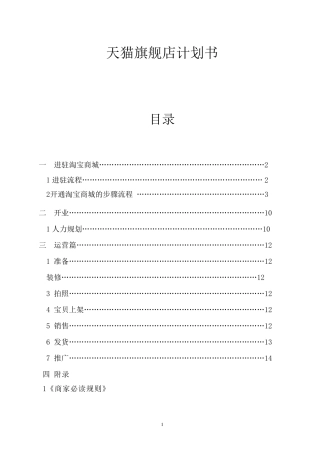 天猫旗舰店计划书