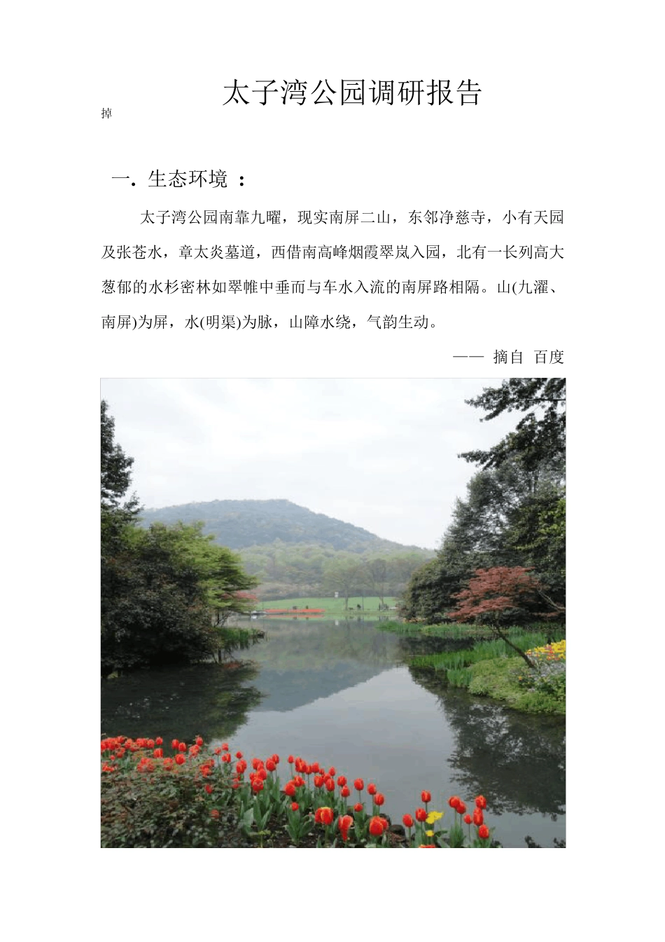 太子湾公园调研报告_第1页