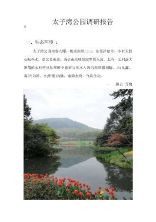 太子湾公园调研报告
