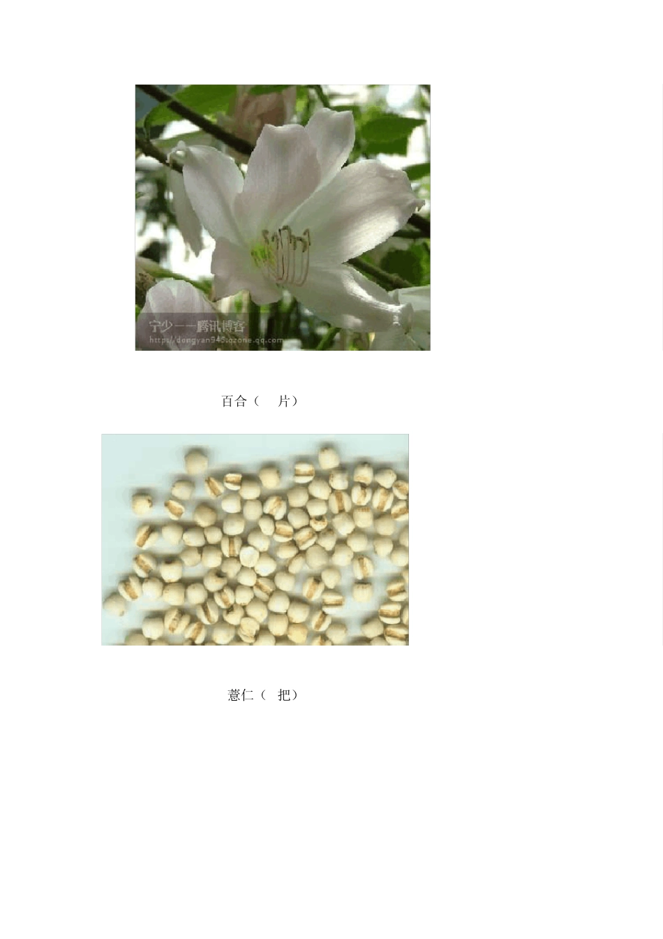 头发变黑的一些方法_第3页