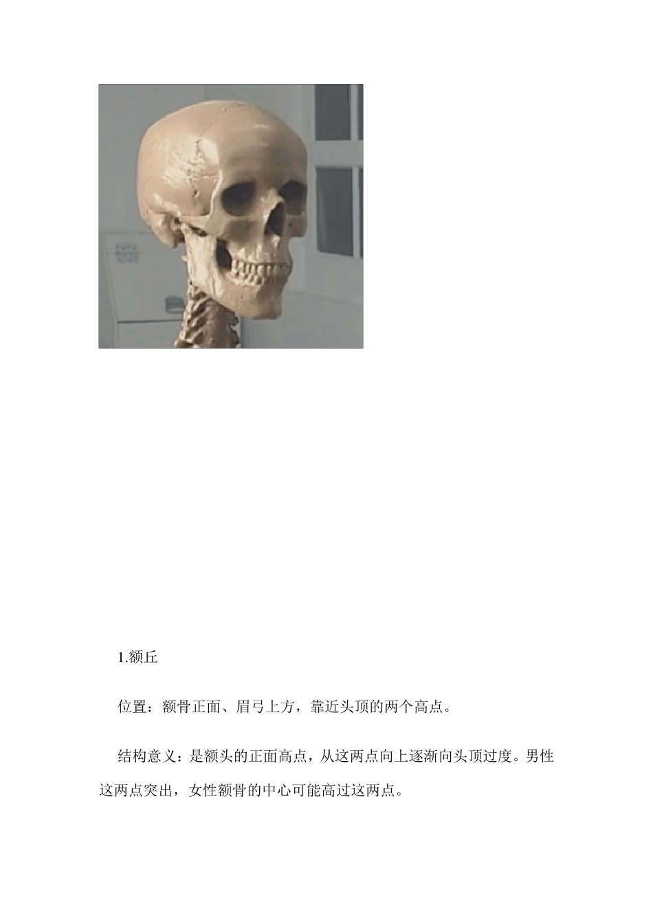头部骨骼分析_第3页