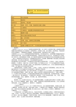 头颈部解剖最终总结