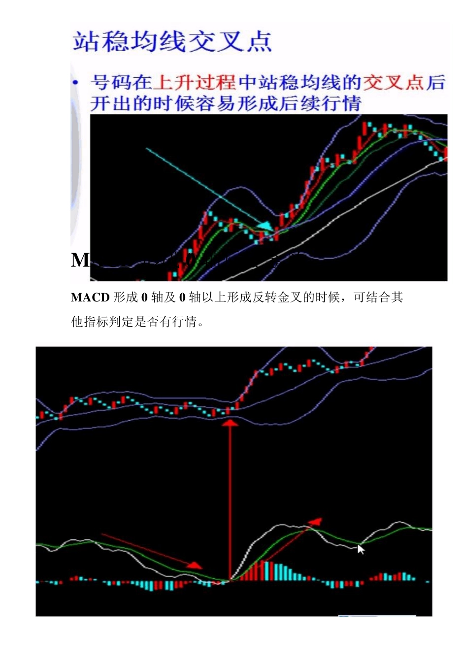 奇妙常见形态_第2页