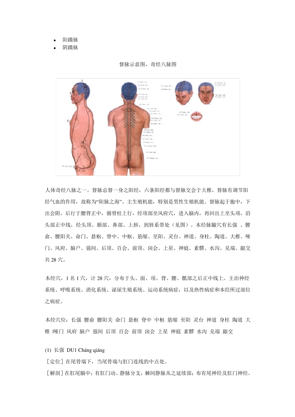 奇经八脉示意图_第2页