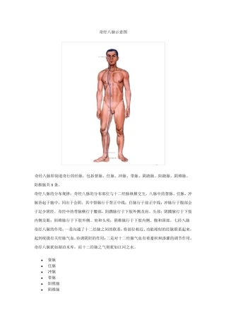 奇经八脉示意图
