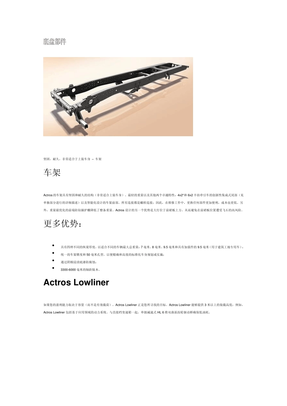奔驰车底盘资料_第1页