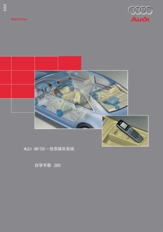 奥迪A8信息娱乐系统(SSP293)