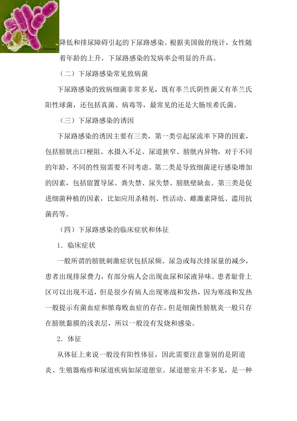 女性下尿路感染的治疗原则_第2页