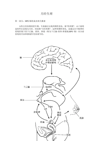 女性月经生理概述