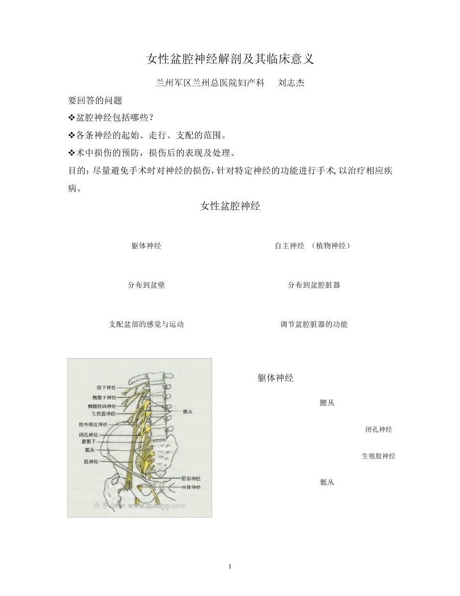 女性盆腔神经解剖及其临床意义_第1页
