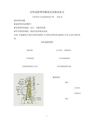 女性盆腔神经解剖及其临床意义