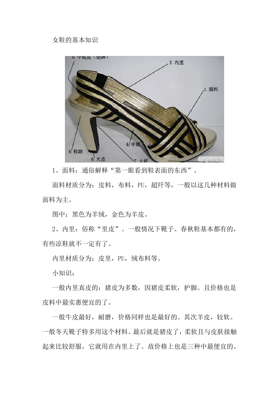 女鞋基本知识_第1页