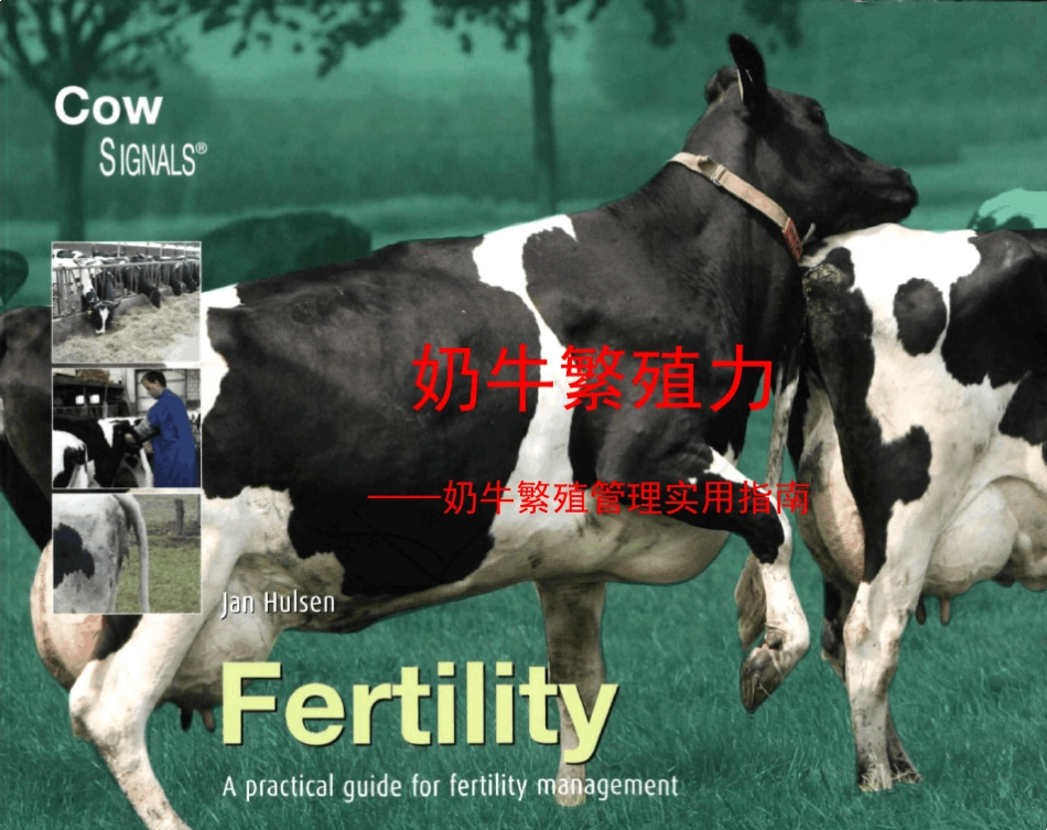 奶牛信号繁殖力中文译本副本_第1页