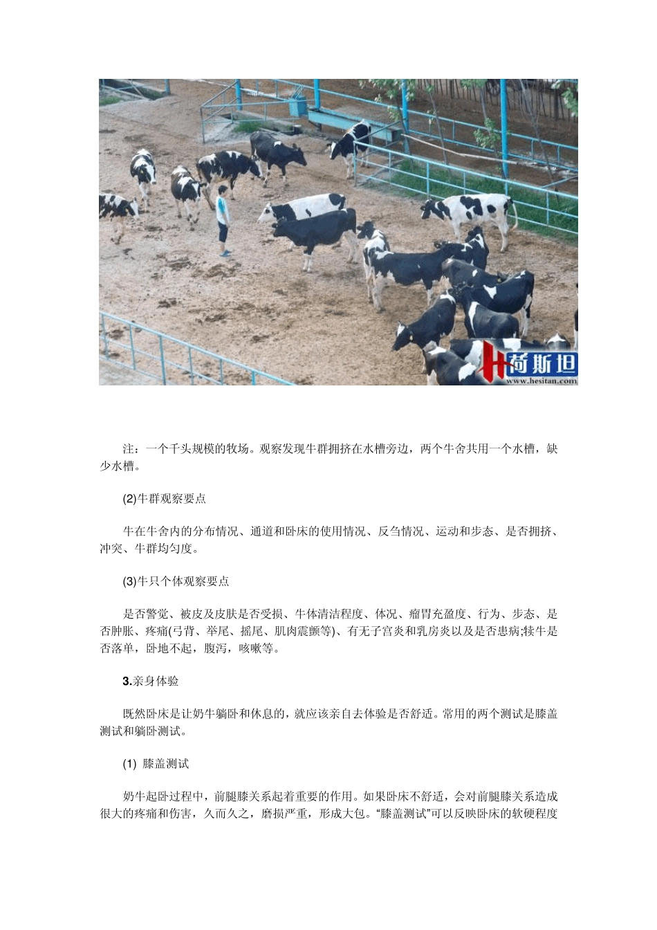 奶牛舒适度的评估技术_第3页