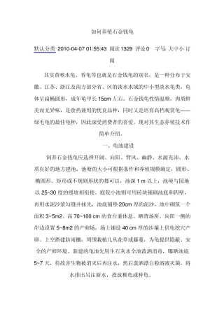 如何养殖石金钱龟