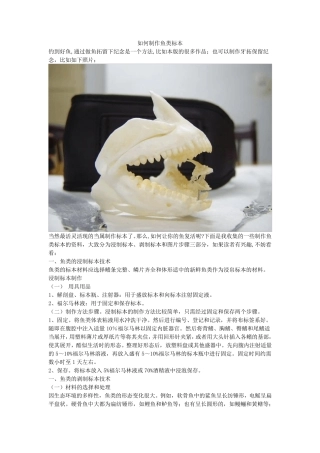 如何制作鱼类标本