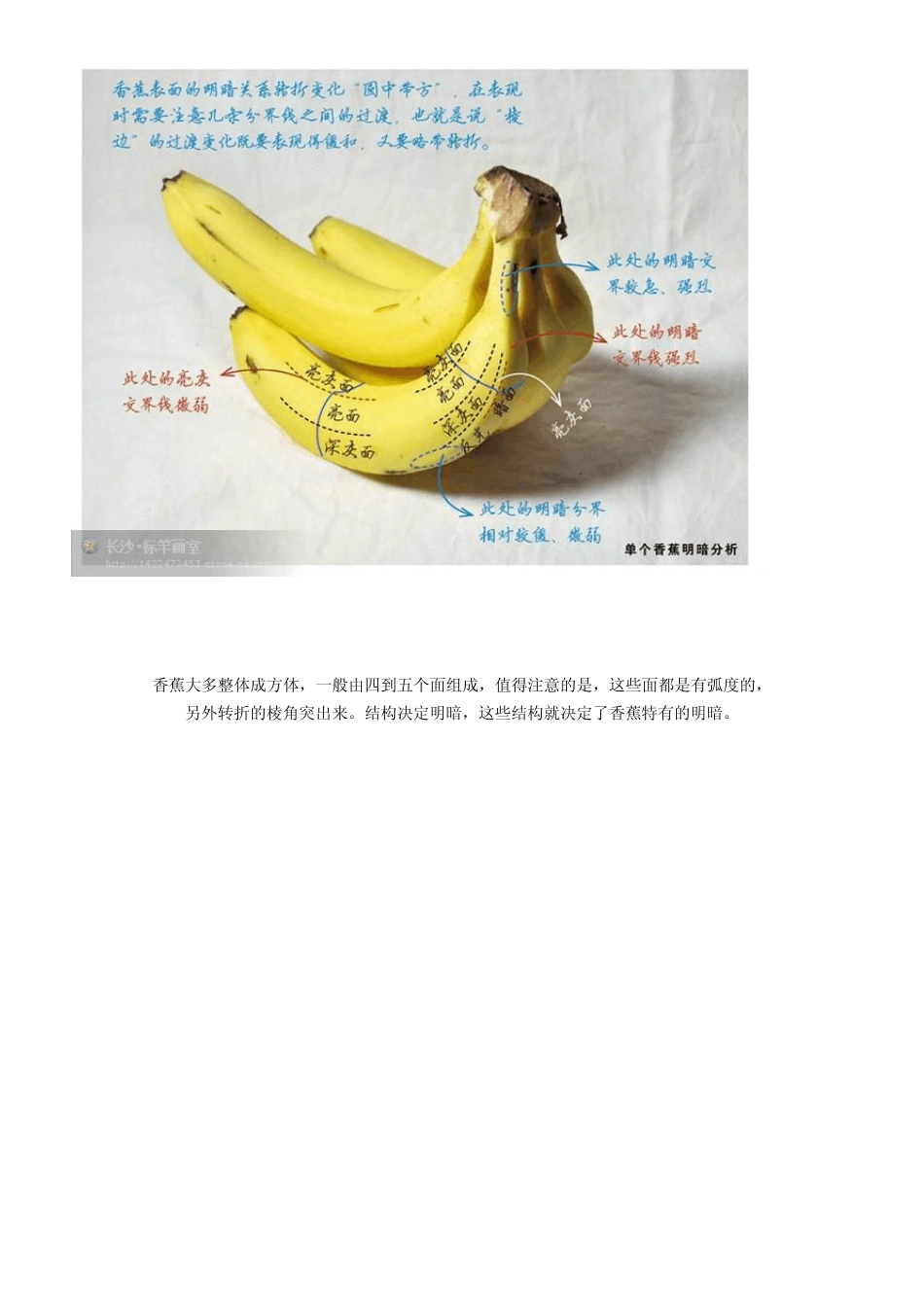 如何怎么样画(复杂静物)香蕉、水果刀、老虎钳、青菜、布娃娃的结构明暗素描(超经典)_第3页