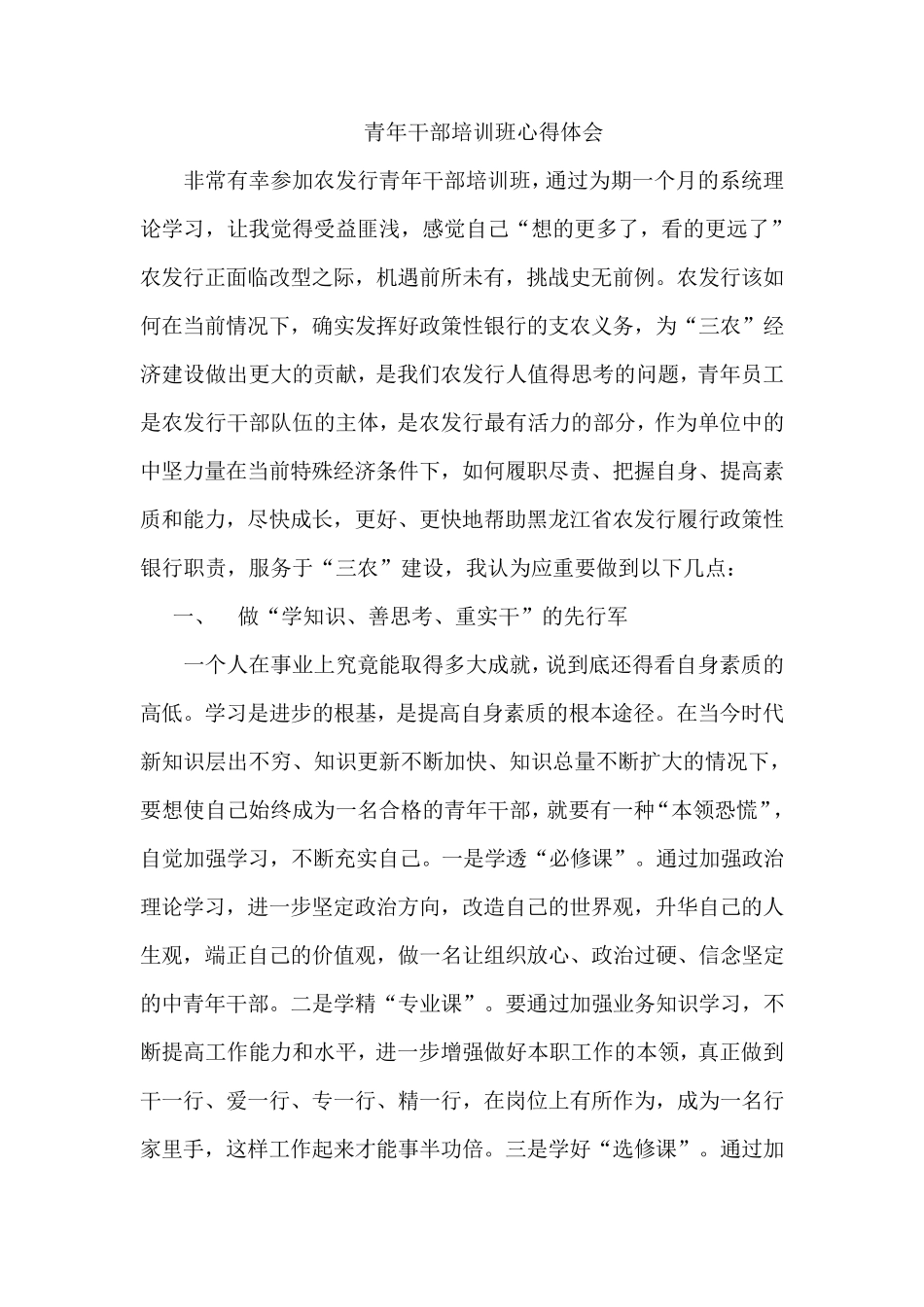 如何成为一名合格的青年干部_第1页