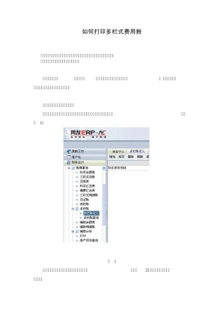 如何打印多栏式费用账