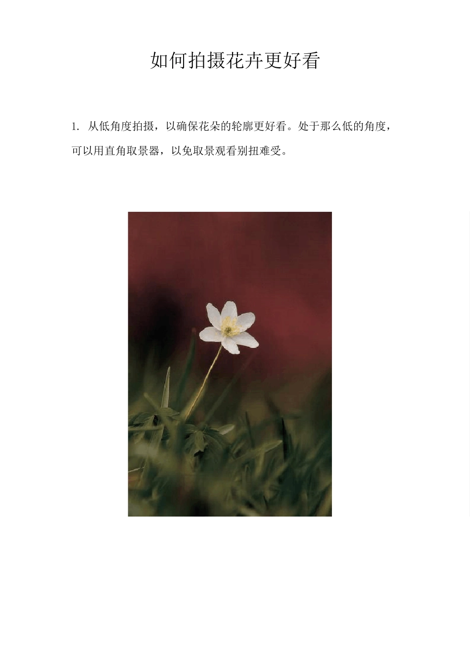 如何拍摄花卉更好看_第1页