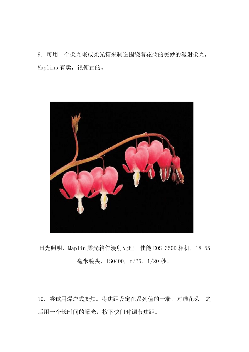 如何拍摄花卉更好看_第3页