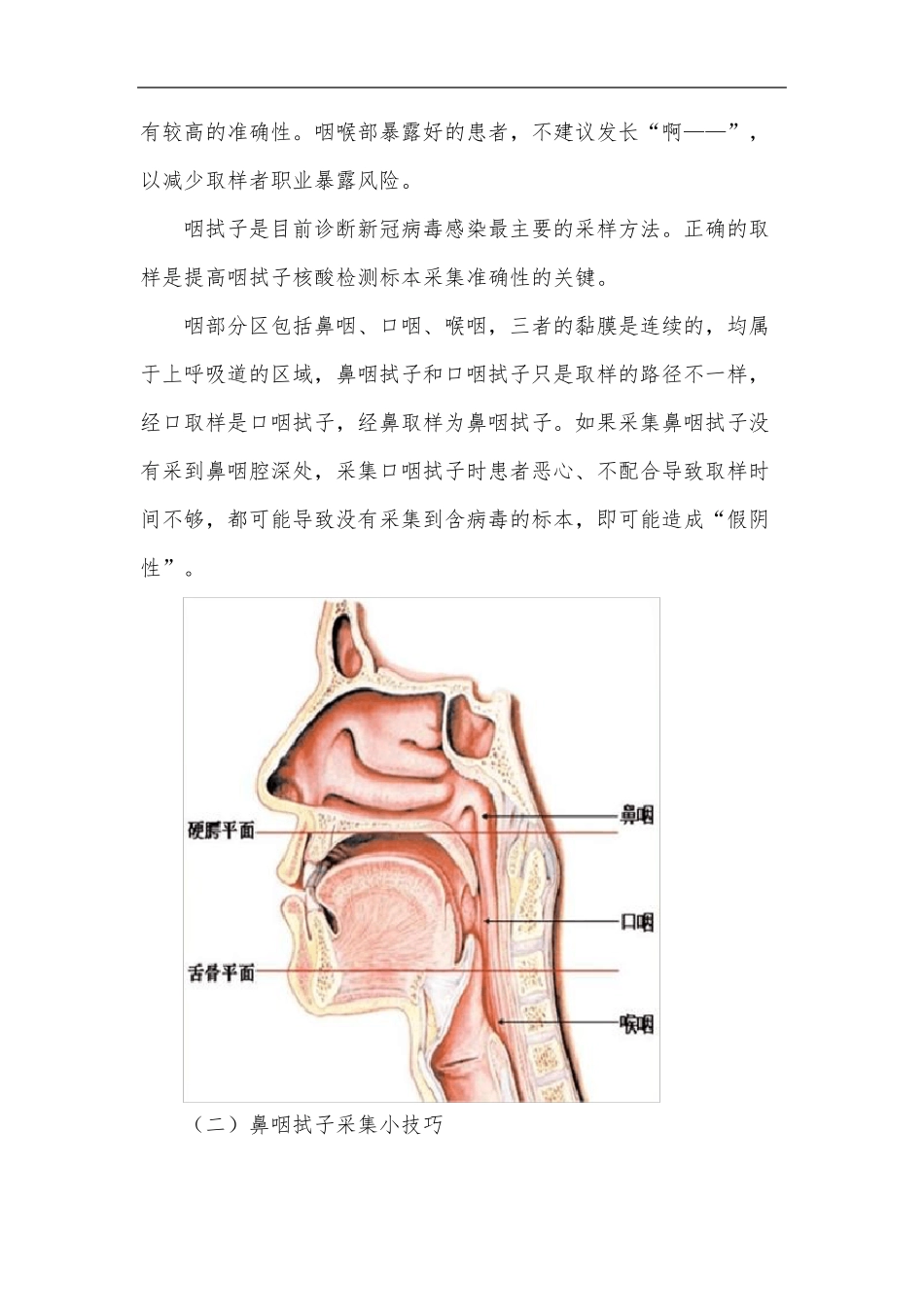 如何正确采集咽试子_第3页